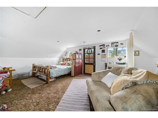 229 Mcdougal Rd, Bailey, CO 80421
