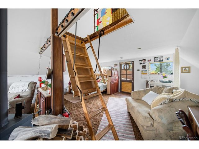 229 Mcdougal Rd, Bailey, CO 80421