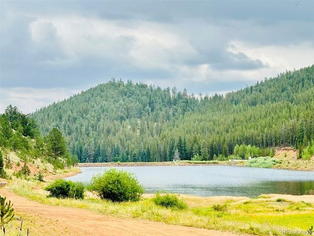 229 Mcdougal Rd, Bailey, CO 80421