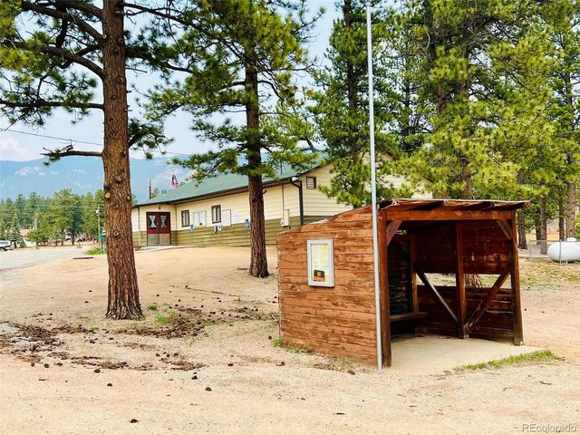 229 Mcdougal Rd, Bailey, CO 80421