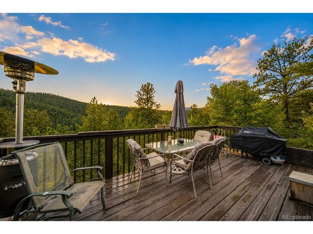 229 Mcdougal Rd, Bailey, CO 80421