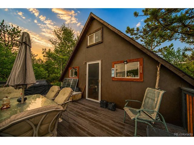 229 Mcdougal Rd, Bailey, CO 80421