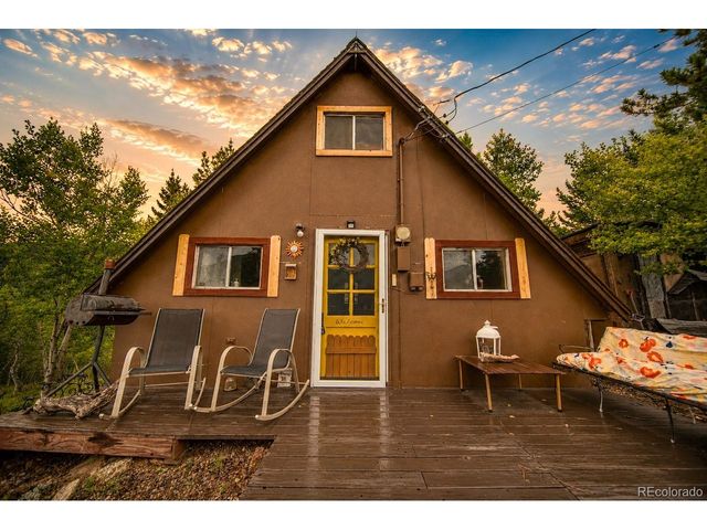 229 Mcdougal Rd, Bailey, CO 80421