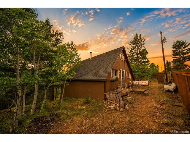 229 Mcdougal Rd, Bailey, CO 80421