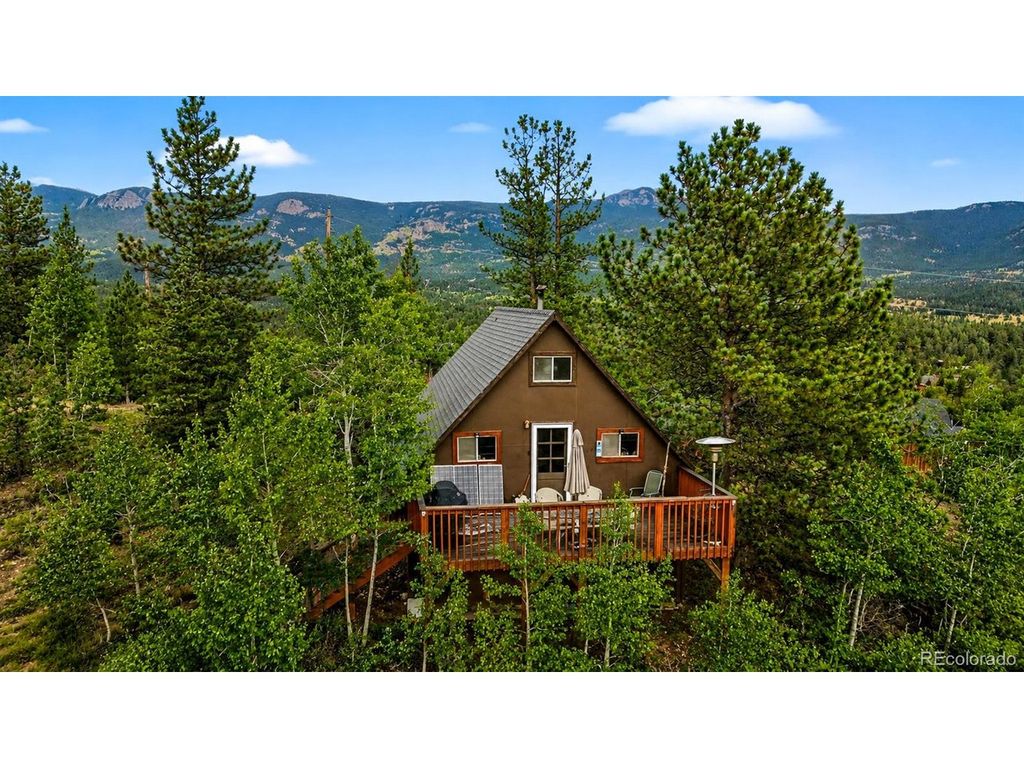 229 Mcdougal Rd, Bailey, CO 80421