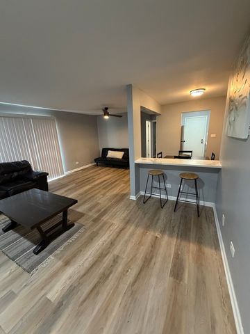 15716 Terrace Drive 3, Oak Forest, IL 60452