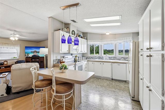 25120 CLIFFORD HILL, Leesburg, FL 34748