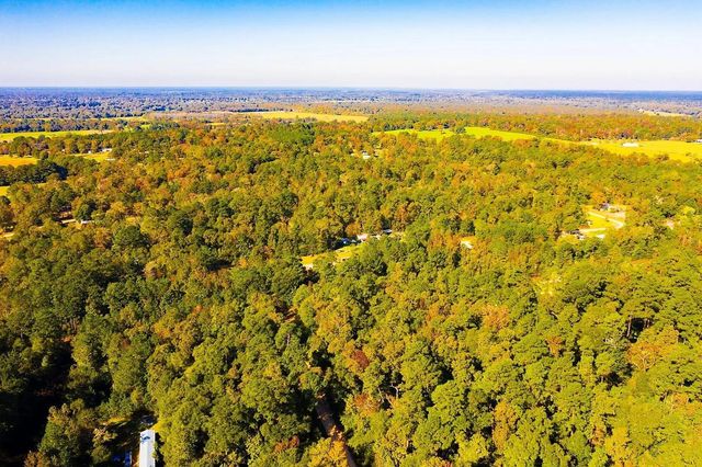Lot 500-502 Patsy Cline Road, Livingston, TX 77351