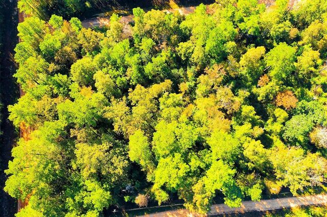 Lot 500-502 Patsy Cline Road, Livingston, TX 77351
