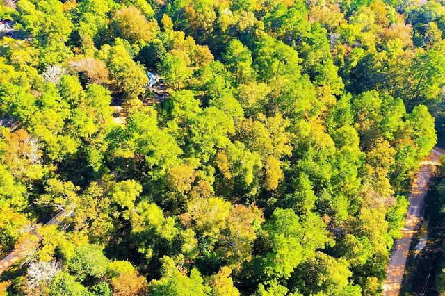Lot 500-502 Patsy Cline Road, Livingston, TX 77351