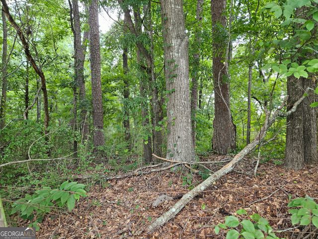 LOT 3 June Ivey Road, Bethlehem, GA 30620