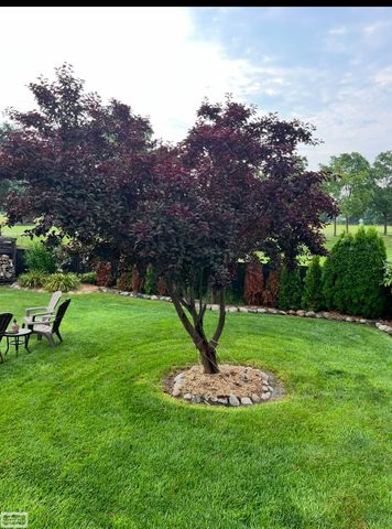 36779 N Pointe Cir Street, New Baltimore, MI 48047