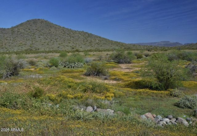 511 E PASARO Drive, Phoenix, AZ 85085