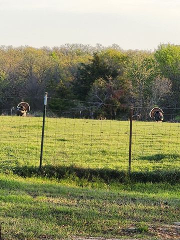 470 Private Road 3650, Paradise, TX 76073