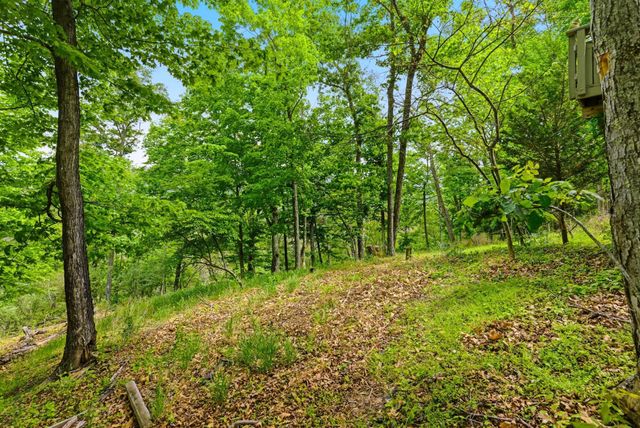500 LARGENT HEIGHTS LN, Great Cacapon, WV 25422