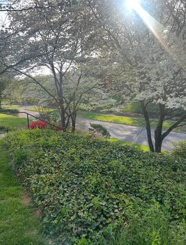 2518 Carolina AVE, Roanoke, VA 24014