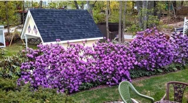 5 Glen Echo Shore Rd, Charlton, MA 01507