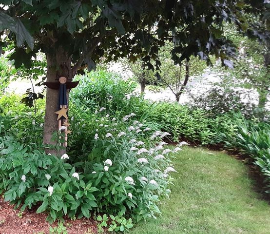 5 Glen Echo Shore Rd, Charlton, MA 01507