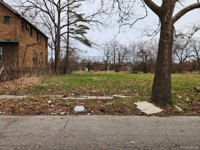 12905 BROOKS Street, Detroit, MI 48215