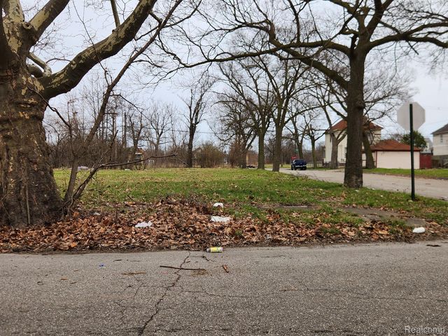 12905 BROOKS Street, Detroit, MI 48215