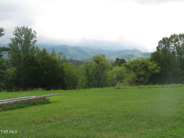 103 Lily Painter Road, Chuckey, TN 37641
