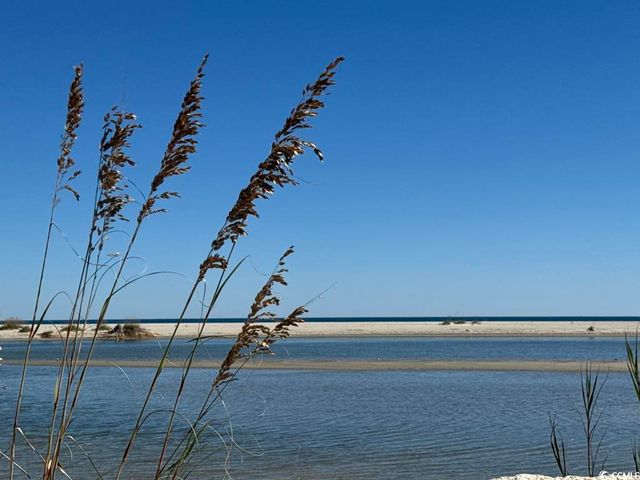 163 Six Mile Creek Dr., Georgetown, SC 29440