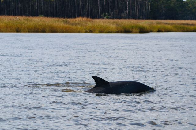 163 Six Mile Creek Dr., Georgetown, SC 29440