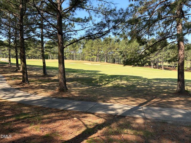 33 Blackhorn Court, Pittsboro, NC 27312