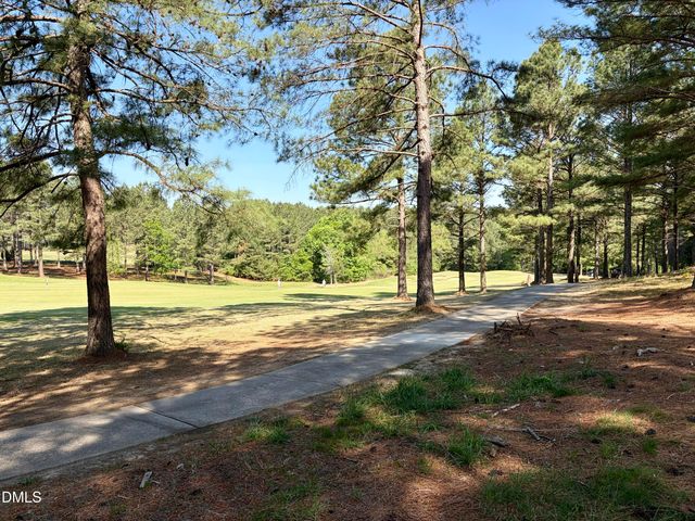 33 Blackhorn Court, Pittsboro, NC 27312