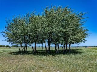 7239 Meiners Road, Ledbetter, TX 78946