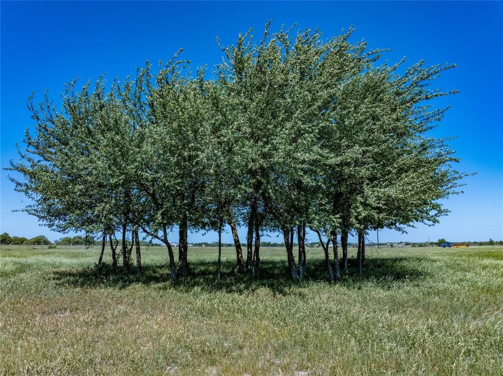 7239 Meiners Road, Ledbetter, TX 78946