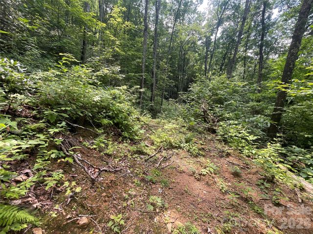 242 Floyd Road, Waynesville, NC 28786