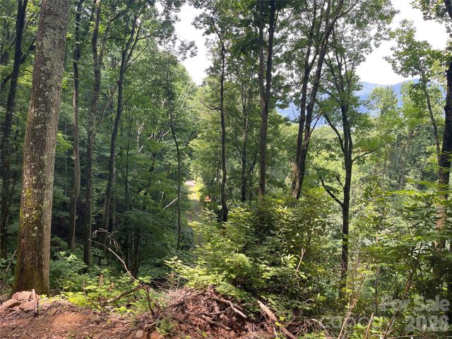242 Floyd Road, Waynesville, NC 28786