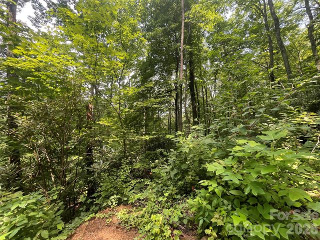 242 Floyd Road, Waynesville, NC 28786