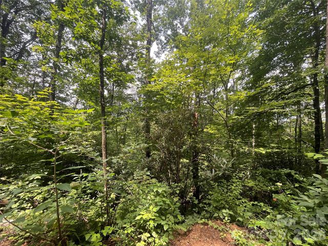242 Floyd Road, Waynesville, NC 28786