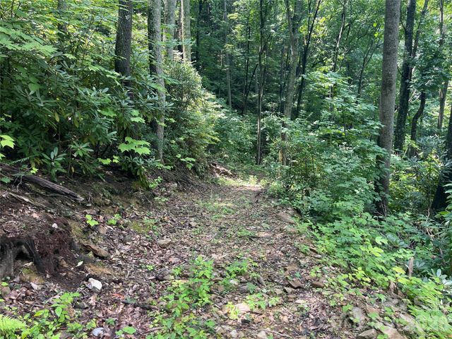242 Floyd Road, Waynesville, NC 28786