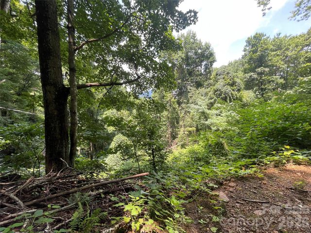 242 Floyd Road, Waynesville, NC 28786