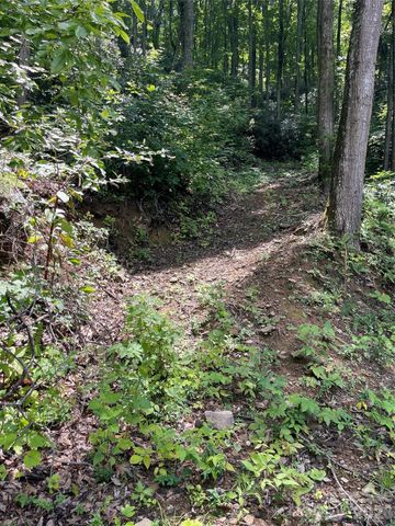 242 Floyd Road, Waynesville, NC 28786