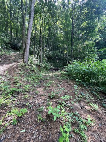 242 Floyd Road, Waynesville, NC 28786