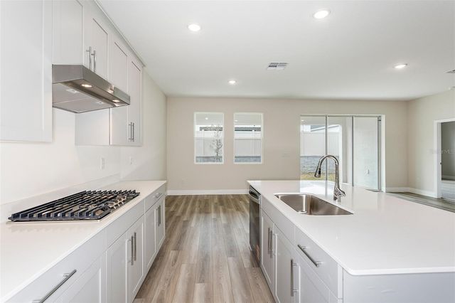 33531 HAMMOCK BEACH WAY, Dade City, FL 33525