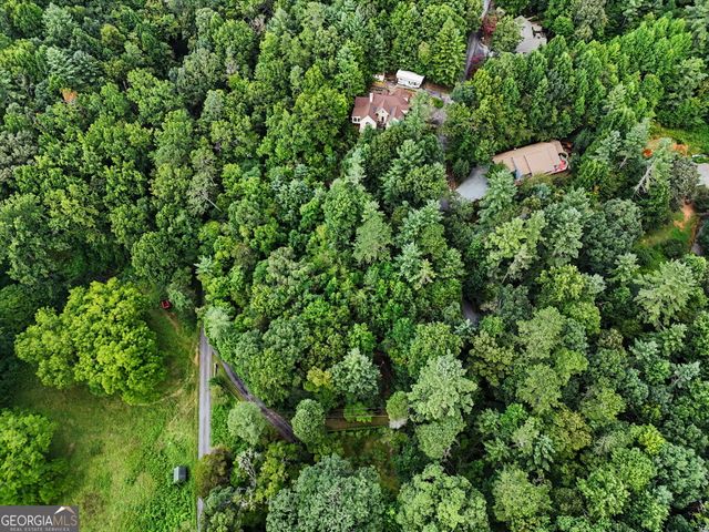 171 Bell Colony Road, Dillard, GA 30537