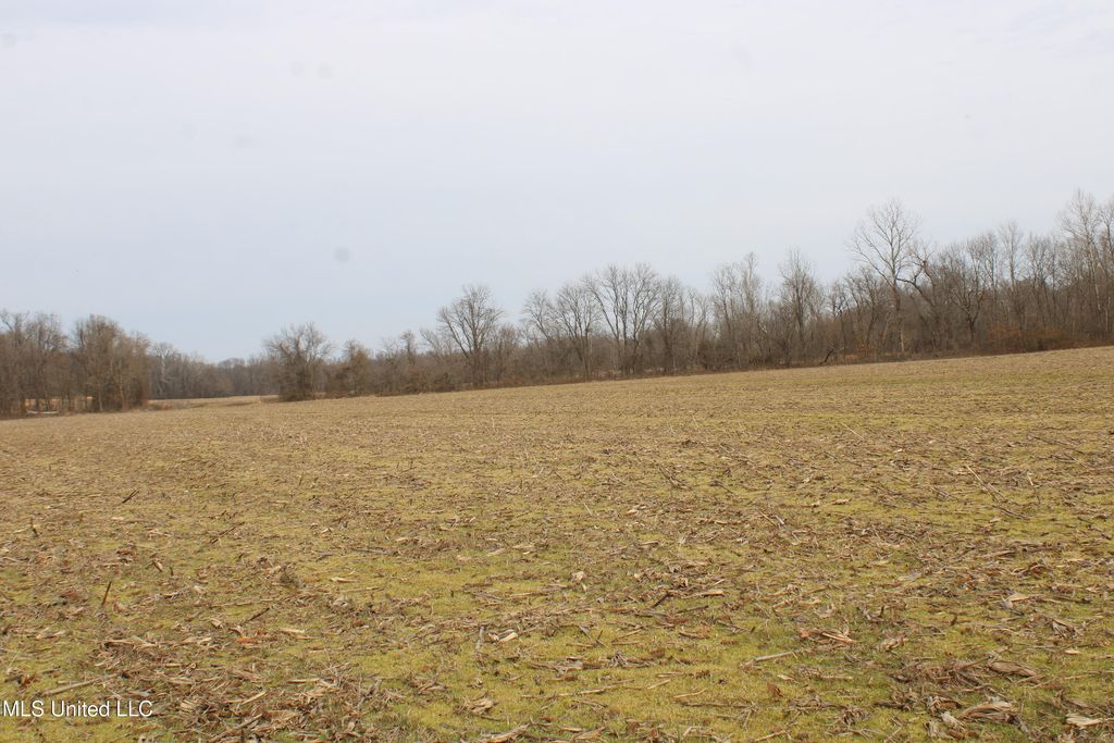 6000 Austin Road, Lake Cormorant, MS 38641 — photo 3