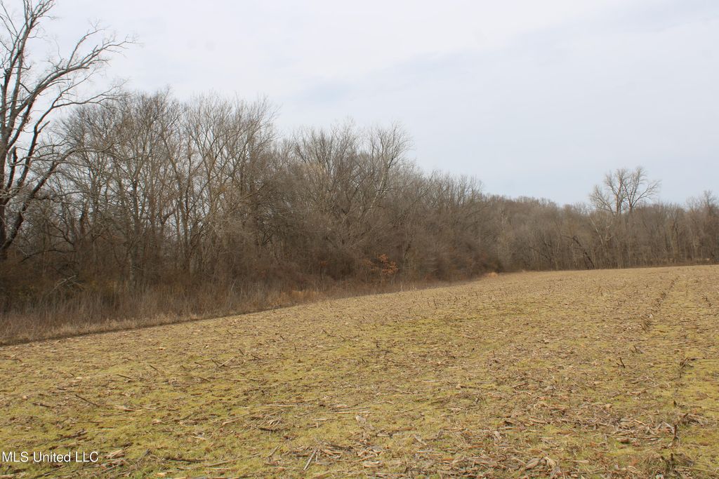 6000 Austin Road, Lake Cormorant, MS 38641 — photo 4