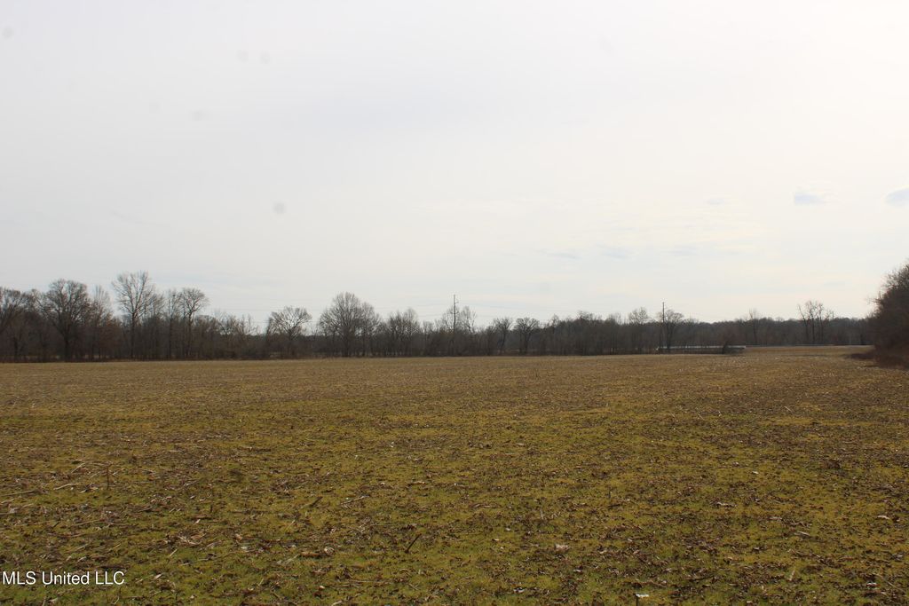 6000 Austin Road, Lake Cormorant, MS 38641 — photo 5