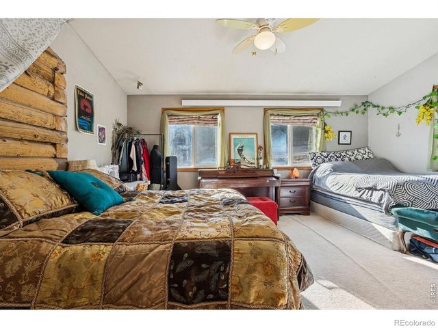 150 Mount Fisher Court, Livermore, CO 80536