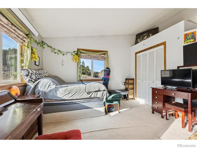 150 Mount Fisher Court, Livermore, CO 80536