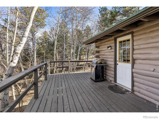150 Mount Fisher Court, Livermore, CO 80536