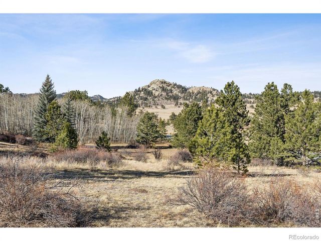 150 Mount Fisher Court, Livermore, CO 80536