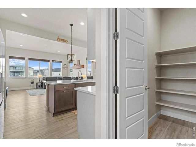 1322 Alyssa Drive, Timnath, CO 80547