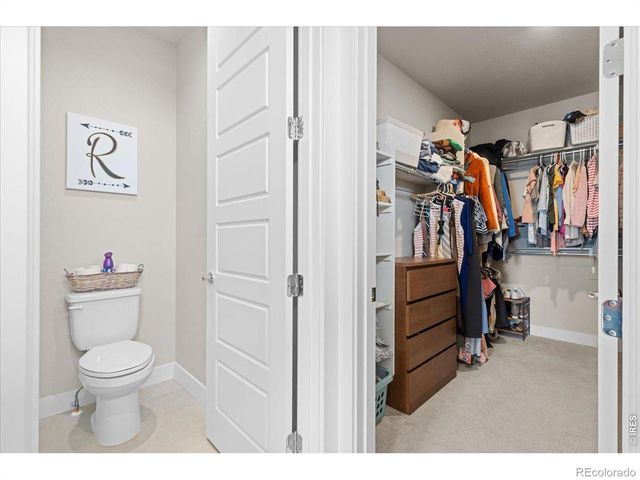 1322 Alyssa Drive, Timnath, CO 80547